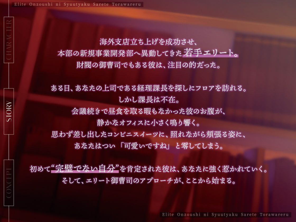 エリート御曹司に執着されて囚われる - サンプル画像 1