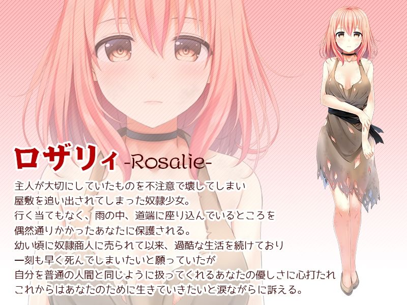 奴●少女ロザリィ総集編 ―捨てられた奴●少女が貴方と幸せになるまでの物語― - サンプル画像 1