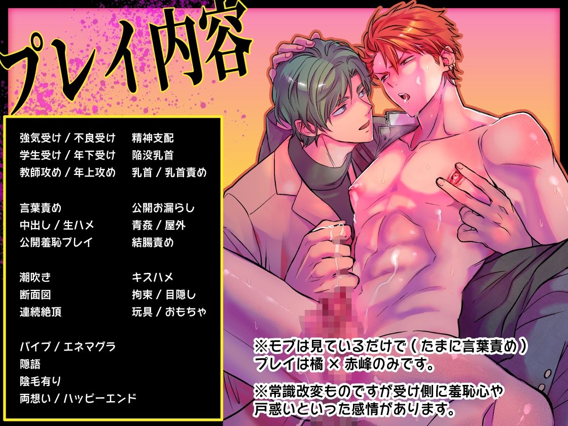 -常識改変-異常な日常 ［生意気ヤンキー1ヶ月間犯し放題］【ボイスドラマ版】 - サンプル画像 2