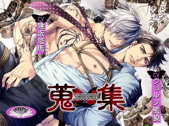 蒐集【コレクターVSキャスター】