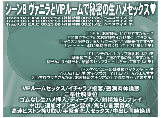 ハイローラーを超える強運メガウェールは爆乳おっぱいの逆バニーが御好き 生意気メスウサギとの生ハメSEXに我慢できずに中出しフルBET - サンプル画像 6