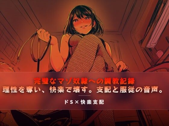 完璧なマゾ奴●への調教記録