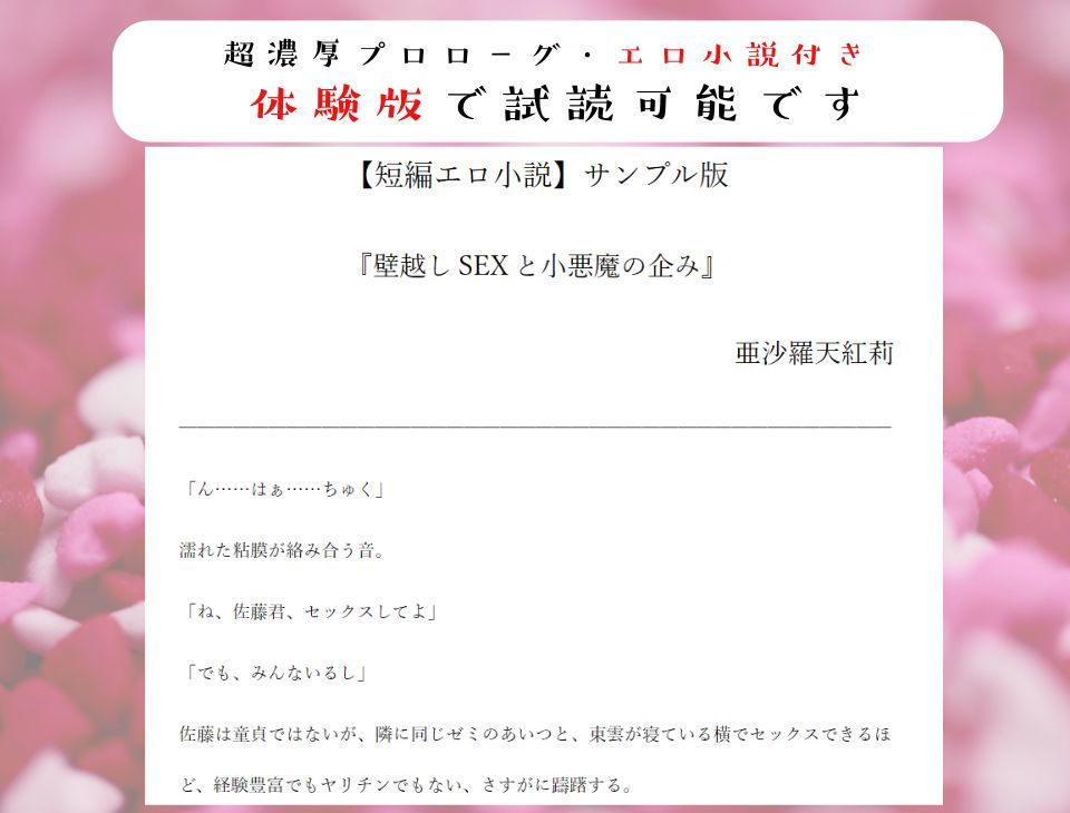 【壁越し/処女喪失/超濃厚エロ小説付き】「僕をオナホにしていいよ」 好きな子の交尾を聴きながら小悪魔僕っ娘を抱いたら、実は処女で、最後は本気なかだしセックス - サンプル画像 4
