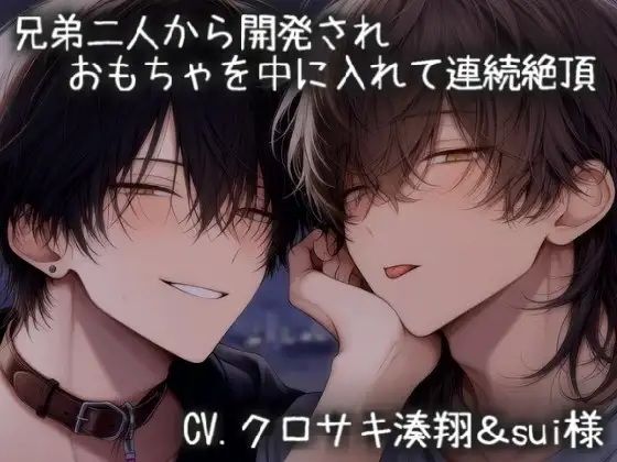 兄弟二人から開発され、おもちゃを中に入れて連続絶頂