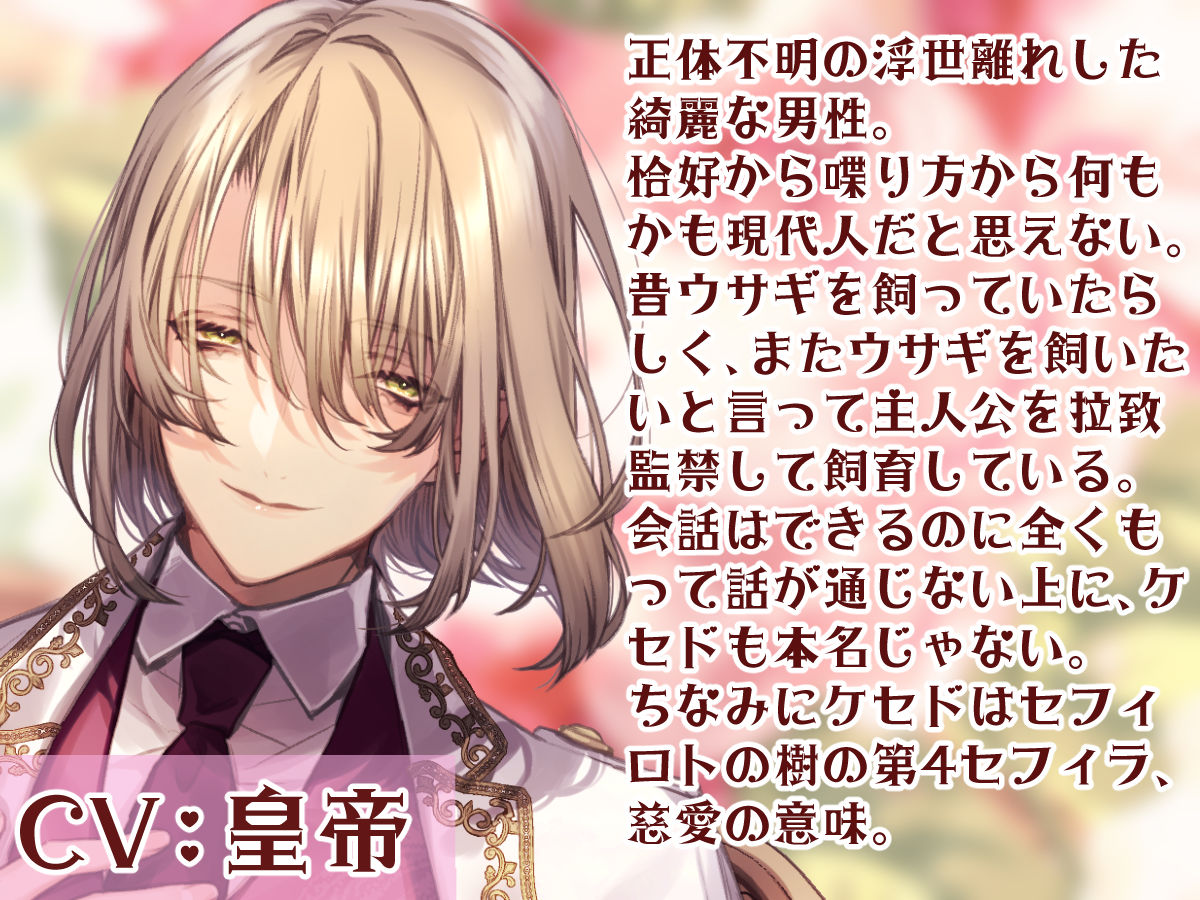 MY SWEET BUNNY CAGE - サンプル画像 2