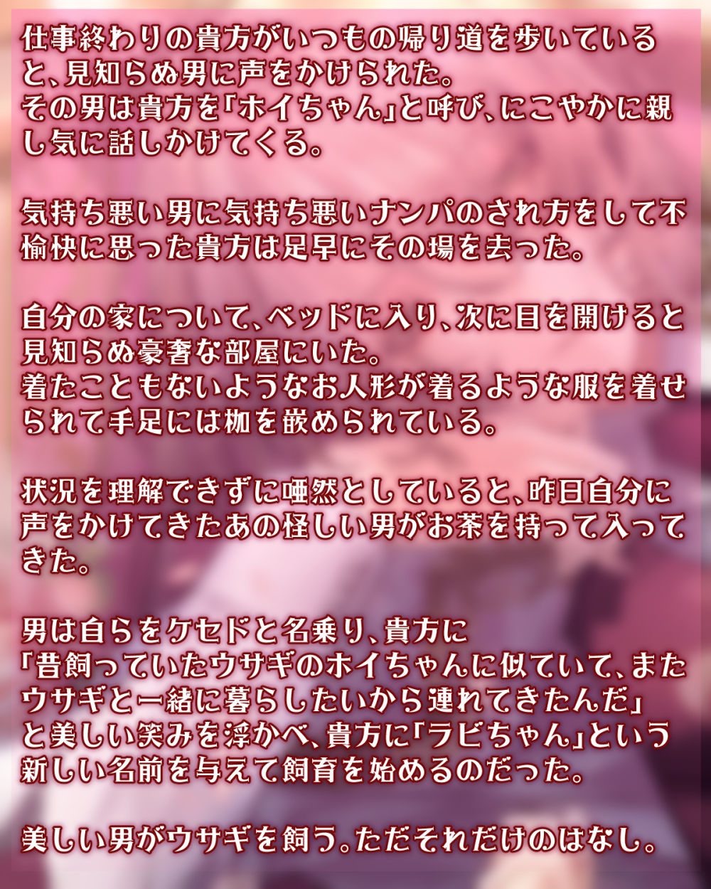 MY SWEET BUNNY CAGE - サンプル画像 3
