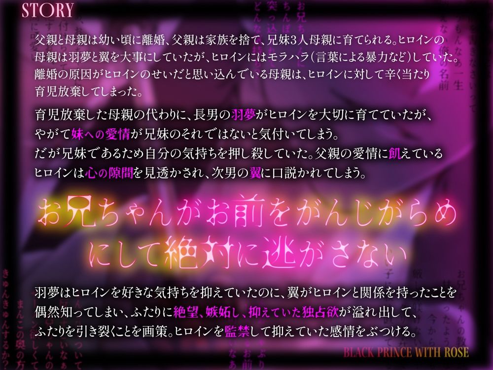 Wの略奪愛〜お兄ちゃんの名前は一生消えない - サンプル画像 1