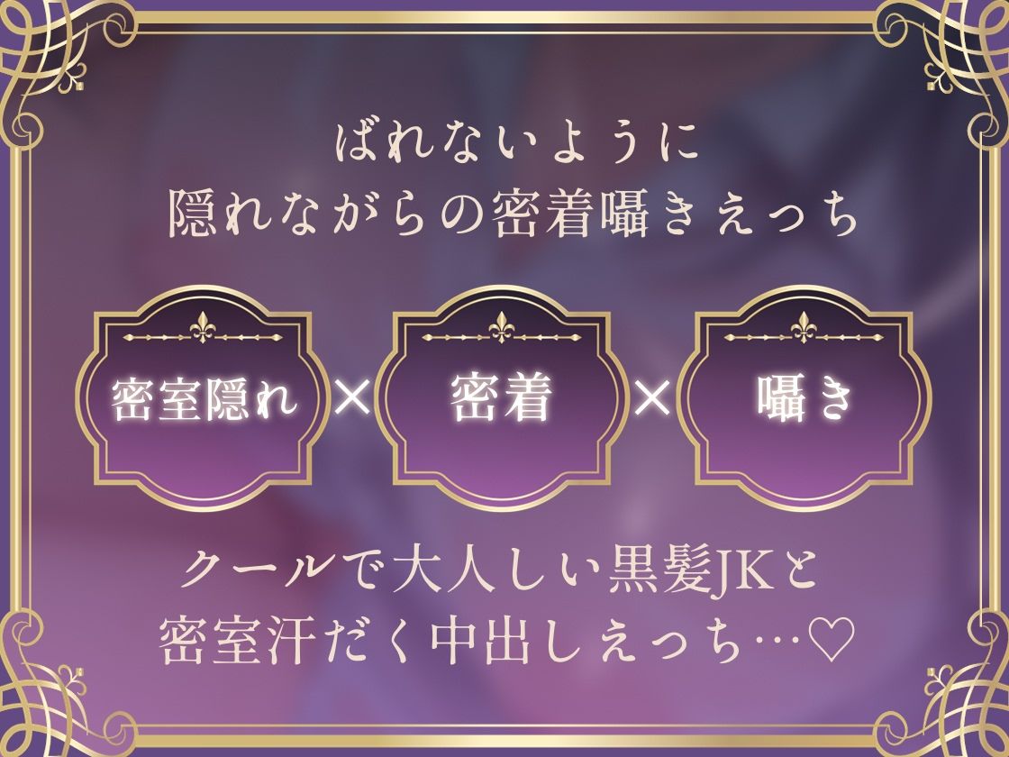 【密着囁き】バレるな。〜隠れながら黒髪クールJKと夏の汗だく密着耳元無言セックス〜 - サンプル画像 3