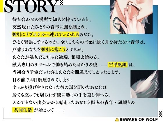 虐げられ獣人の発情〜もふってご主人サマ〜 - サンプル画像 2