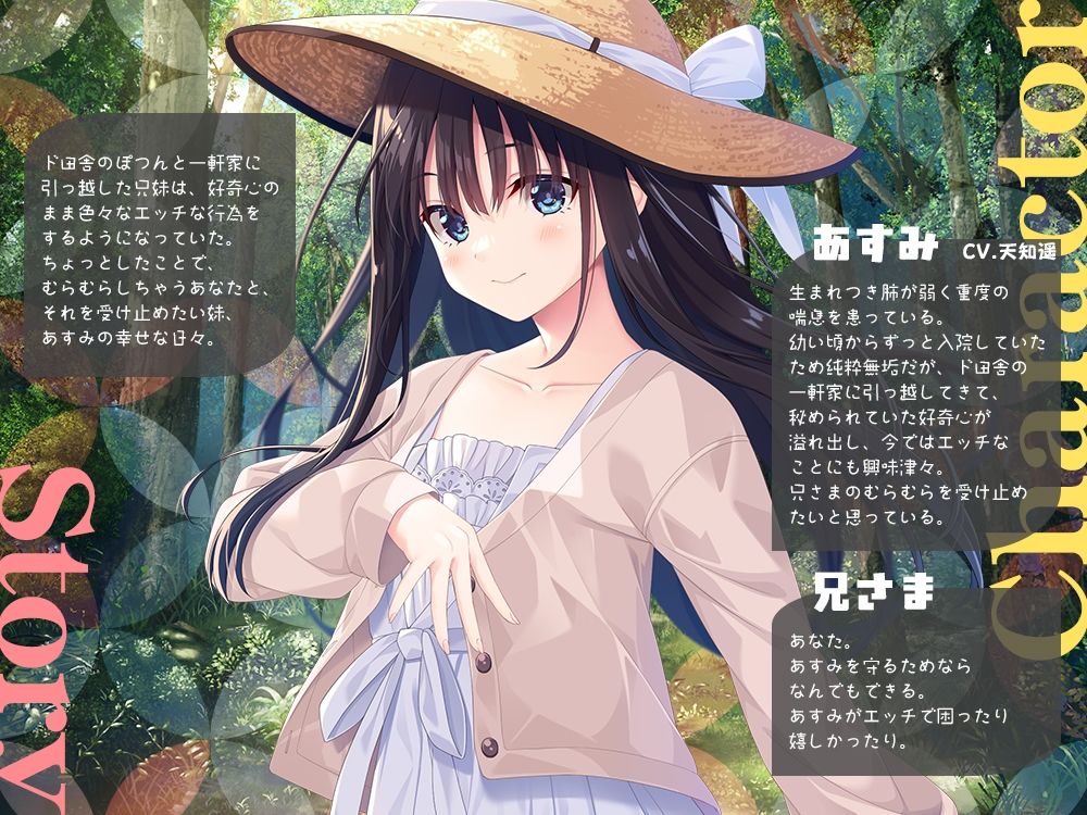 兄さまのむらむらした気持ちを全部受け止めたい妹 - サンプル画像 2