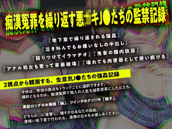 痴●冤罪○○2人組を制裁する【ダブルヘッドフォーリー】 - サンプル画像 1