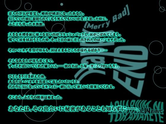 【CV.陸智希】Happy（MerryBad）END Memorial No.02 アクアリウムに囚われて - サンプル画像 1