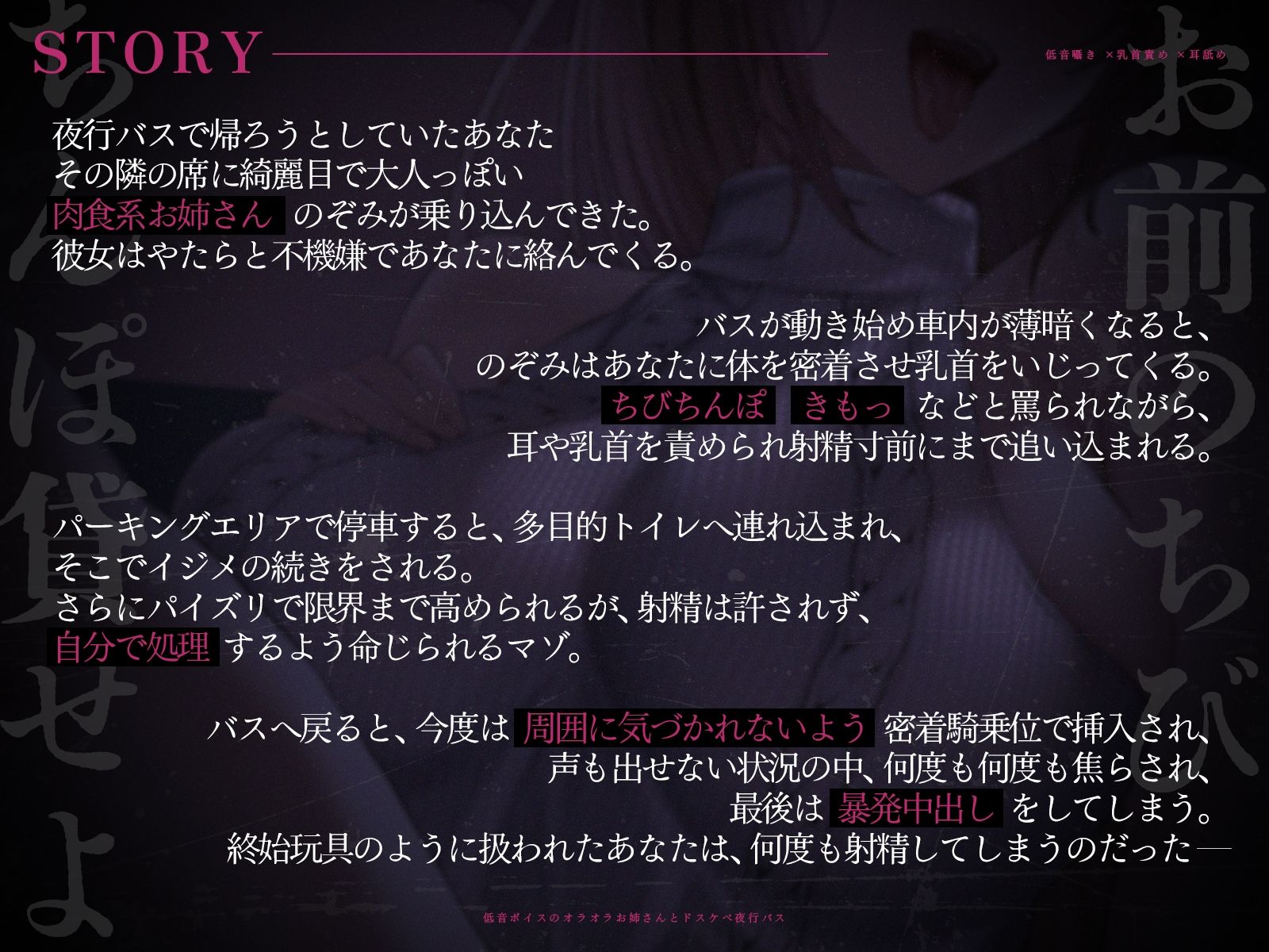【低音囁き×乳首責め×耳舐め】「おい、お前のちびちんぽ貸せよ」低音ボイスのオラオラお姉さんとドスケベ夜行バス【CV沢野ぽぷら】 - サンプル画像 2