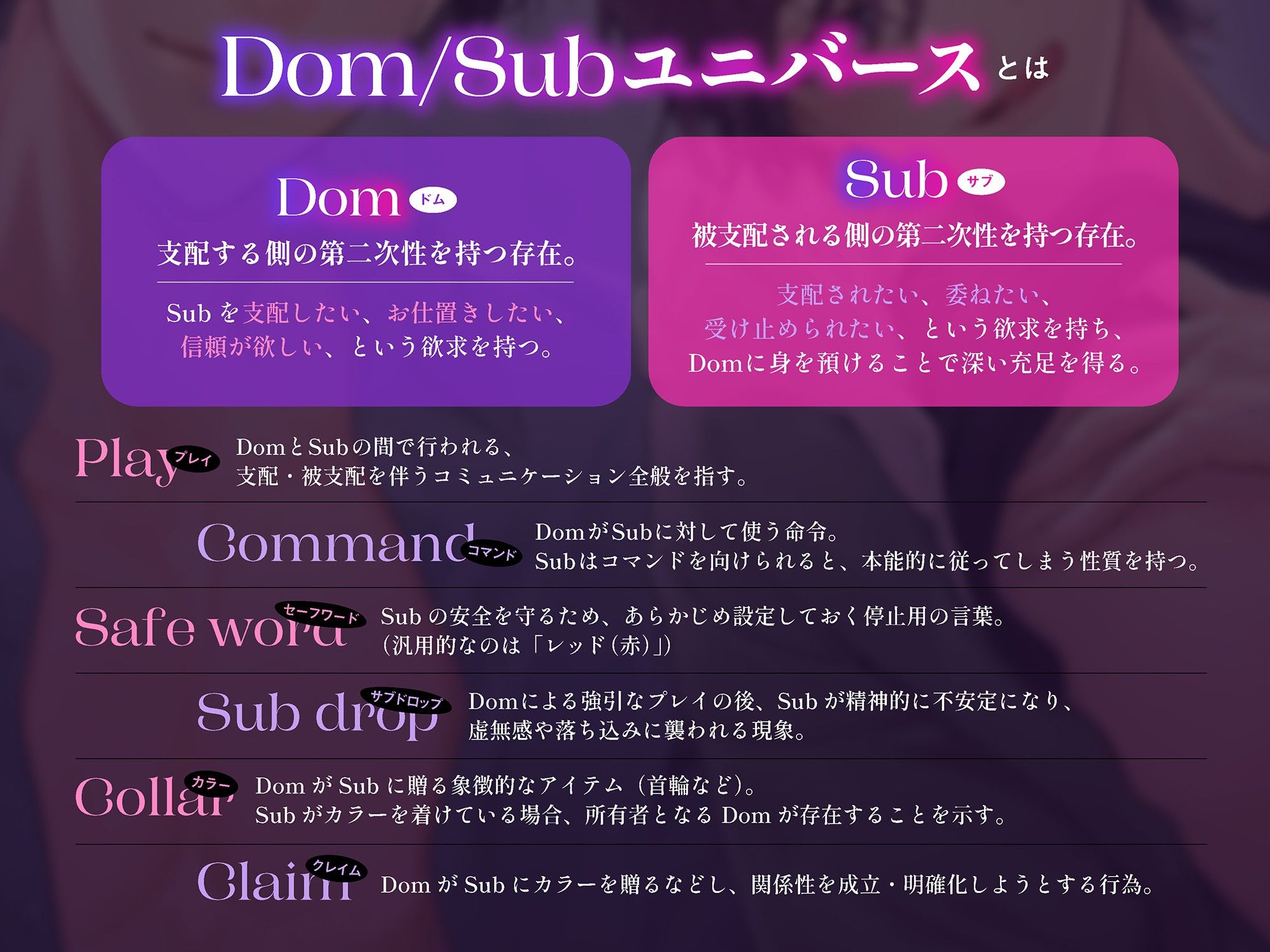 【中字動画付】Dom/Subシェアハウスへようこそ 〜支配と溺愛の調教プレイ〜 - サンプル画像 2