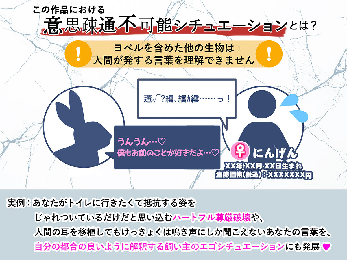 【意思疎通不可能？】迷子のヒトを探しています【人間=ペットの世界で‘元’飼い主のオスウサギが行方不明だったあなたを保護しました】 - サンプル画像 3
