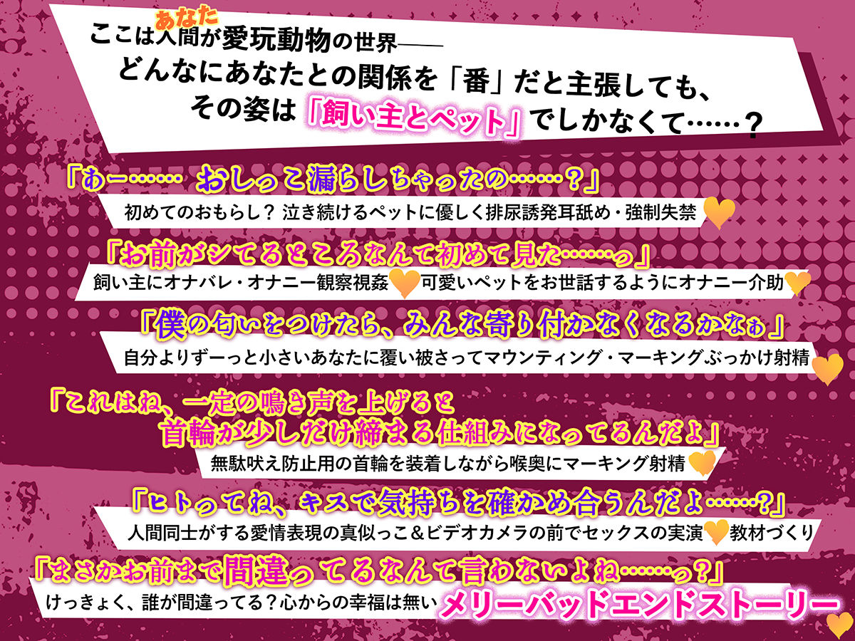 【意思疎通不可能？】迷子のヒトを探しています【人間=ペットの世界で‘元’飼い主のオスウサギが行方不明だったあなたを保護しました】 - サンプル画像 5