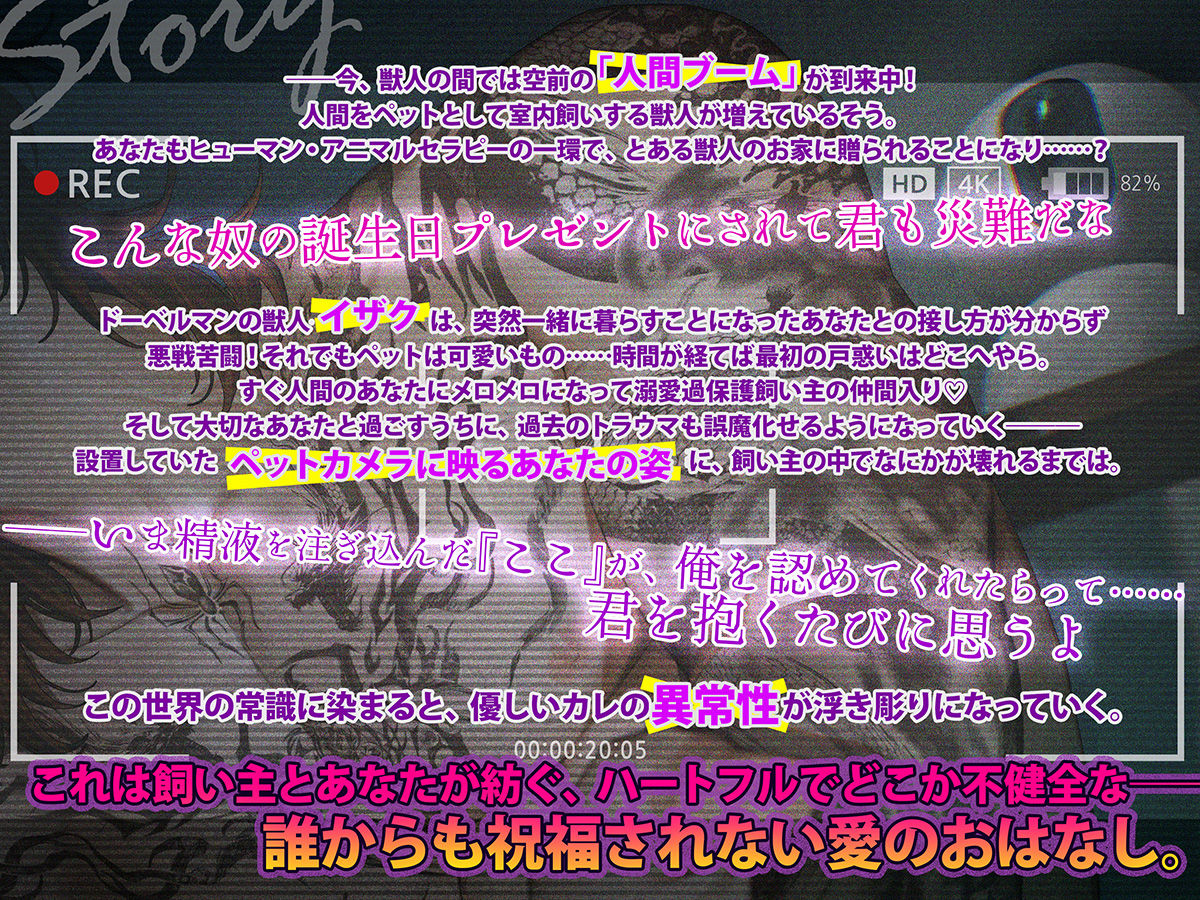 【意思疎通不可能？】ペットカメラに映ったものは【人間=ペットの世界で堕落寸前・警察犬のオスがあなたをペットに迎えました】 - サンプル画像 1