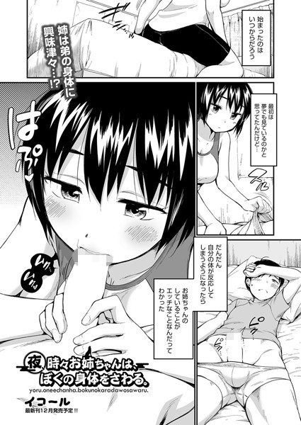 夜、時々お姉ちゃんは、ぼくの身体をさわる。（単話）