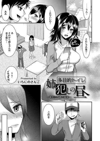 酔いどれ姉犯しの夜、多目的トイレ姉犯しの昼（単話）