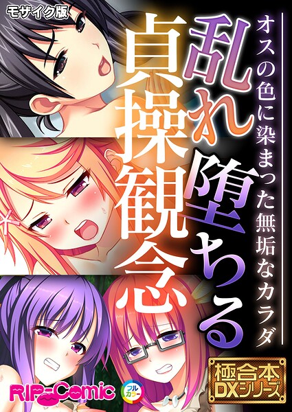 極合本DXシリーズ モザイク版