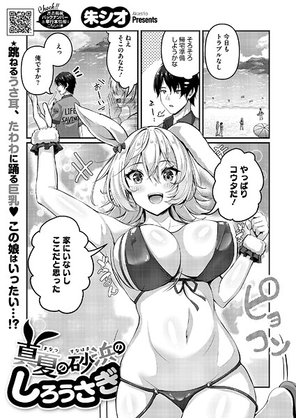 真夏の砂浜のしろうさぎ（単話）