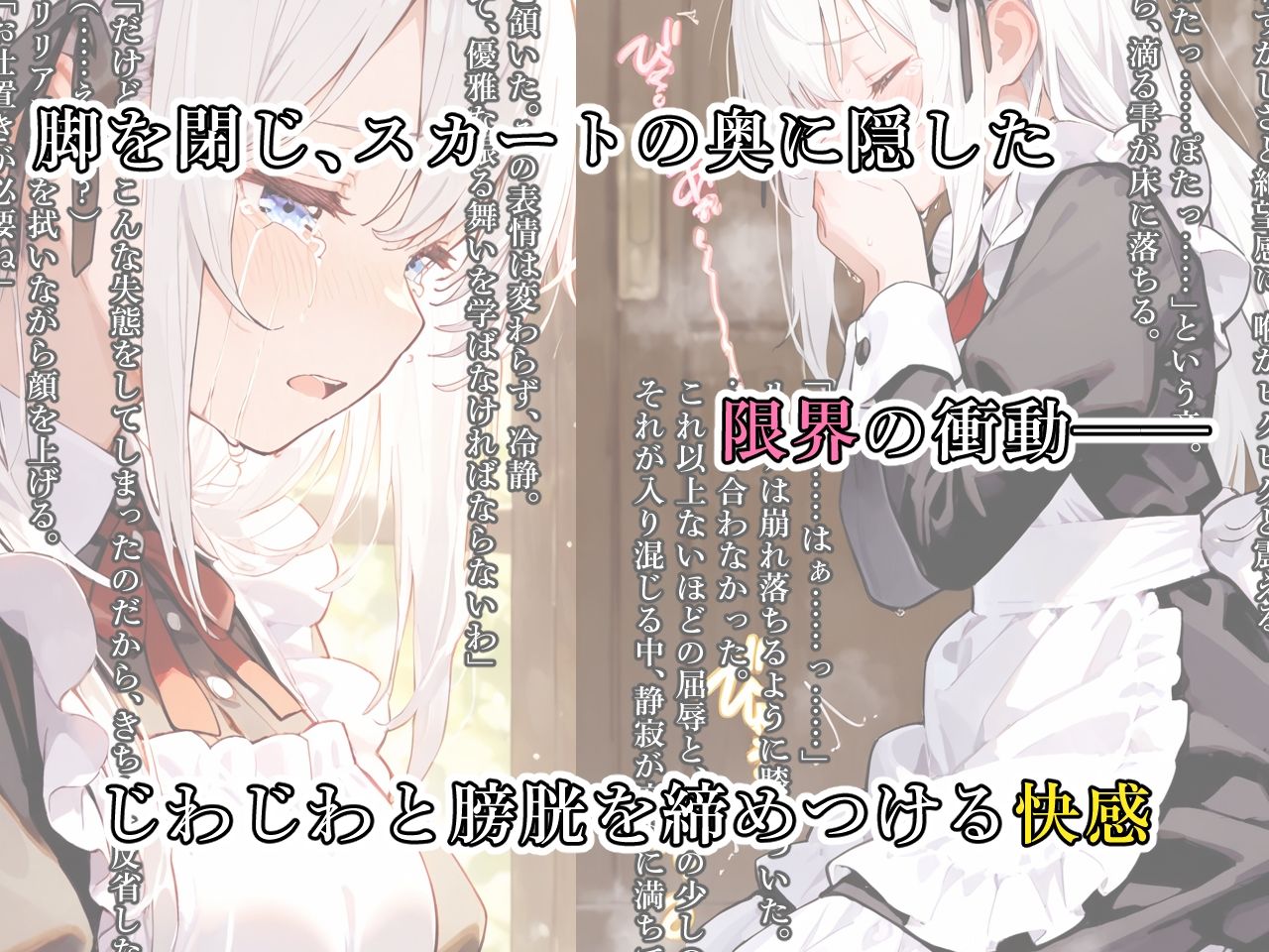 快楽耐久メイド調教 〜清楚なメイドが乱れるとき〜 - サンプル画像 3