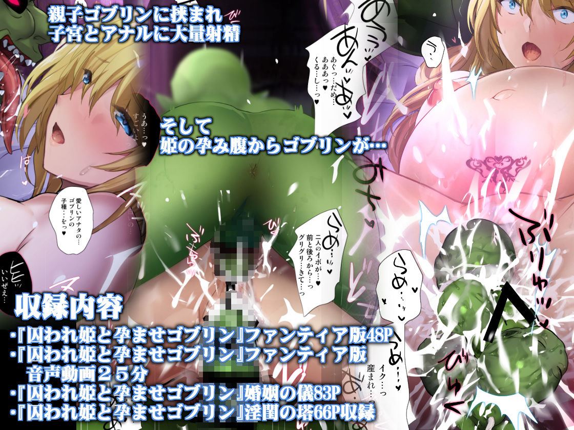 囚われ姫と孕ませゴブリン - サンプル画像 5