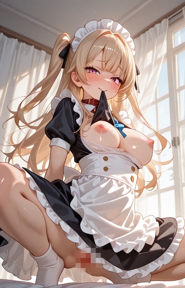メイドコレクション弐 - サンプル画像 3