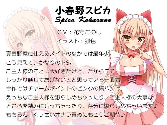 ご主人様、きっつい躾が必要ですね♪ 全作まとめ買いセット - サンプル画像 3