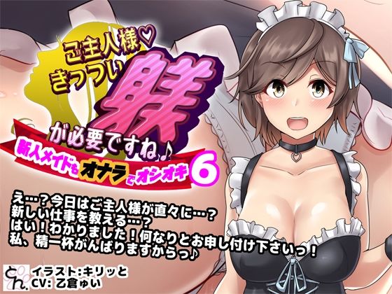 ご主人様、きっつい躾が必要ですね♪ 全作まとめ買いセット - サンプル画像 10