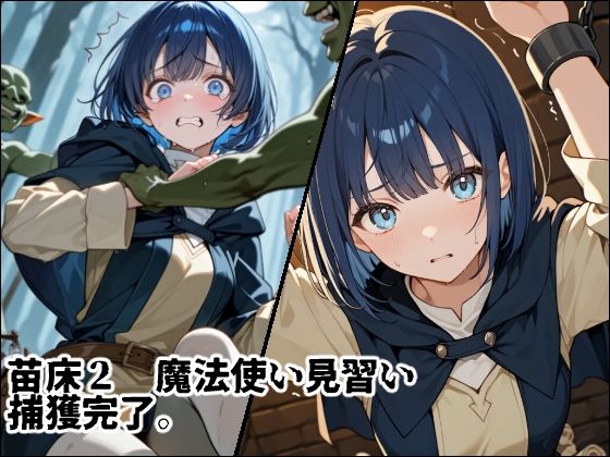 苗床捕獲 初クエストでゴブリンの大群に持ち帰られる少女たち - サンプル画像 4