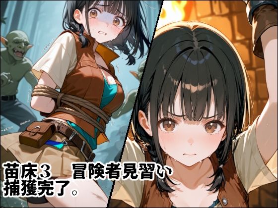 苗床捕獲 初クエストでゴブリンの大群に持ち帰られる少女たち - サンプル画像 5