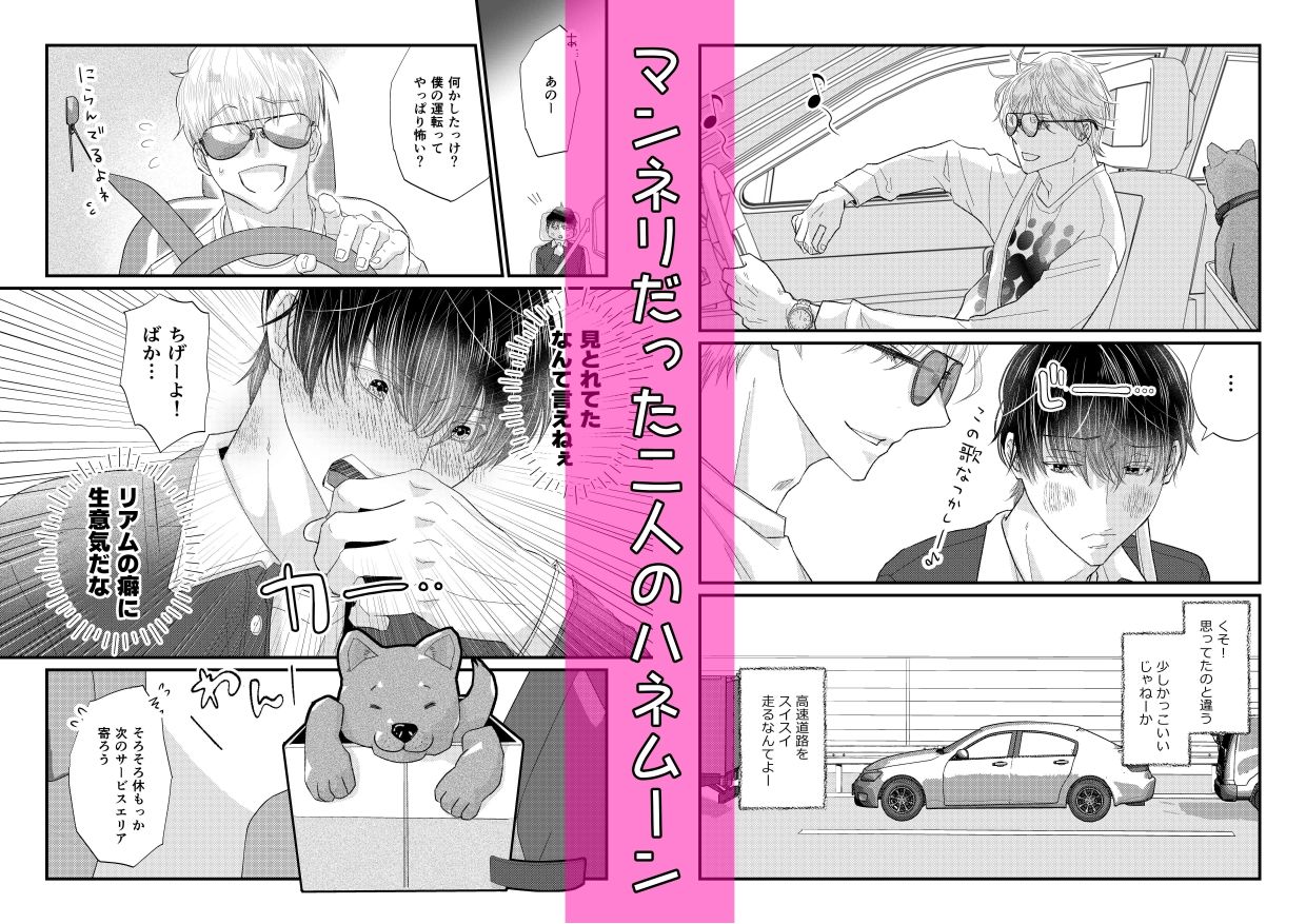 ハネムーンは、欲望のままに。〜外でも中でも、おまえが欲しい〜【ココロ君のきもちいいトコロ8】 - サンプル画像 1
