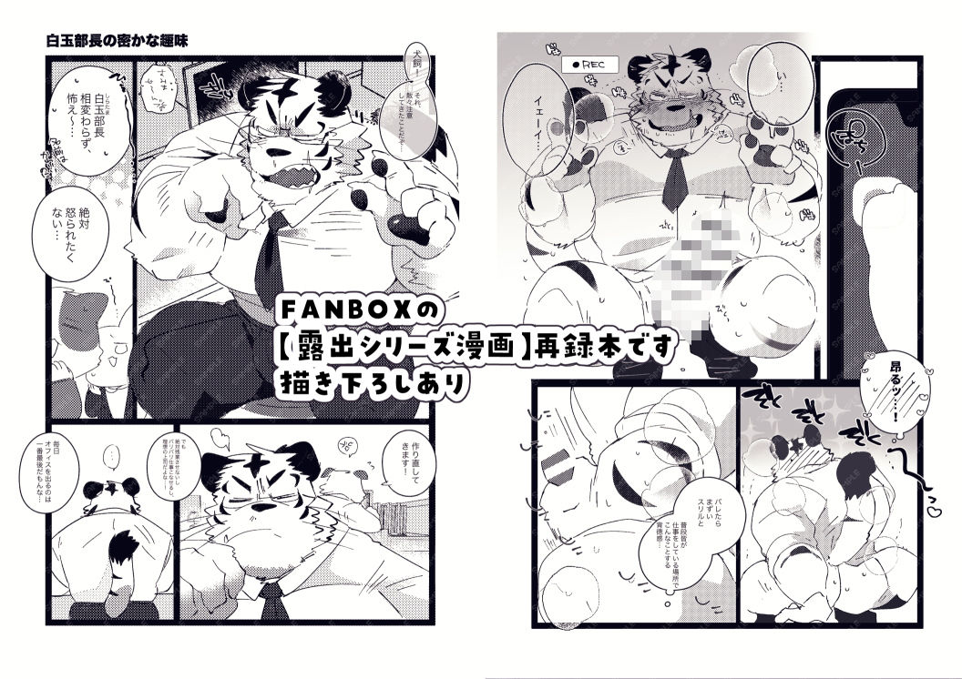 FANBOX COLLECTION 露出本 - サンプル画像 2