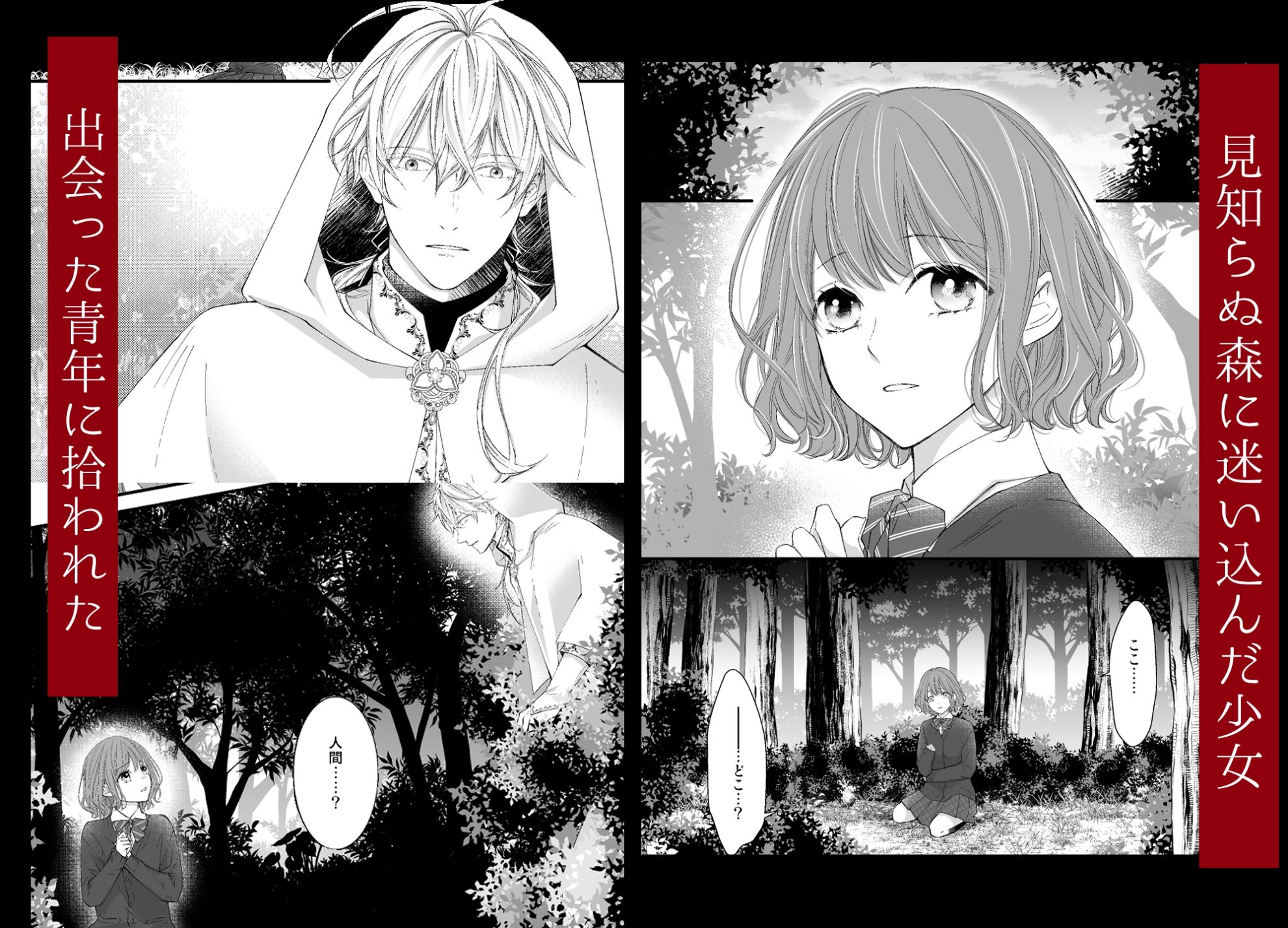 魔術師の鳥籠-フォレノワール- - サンプル画像 2