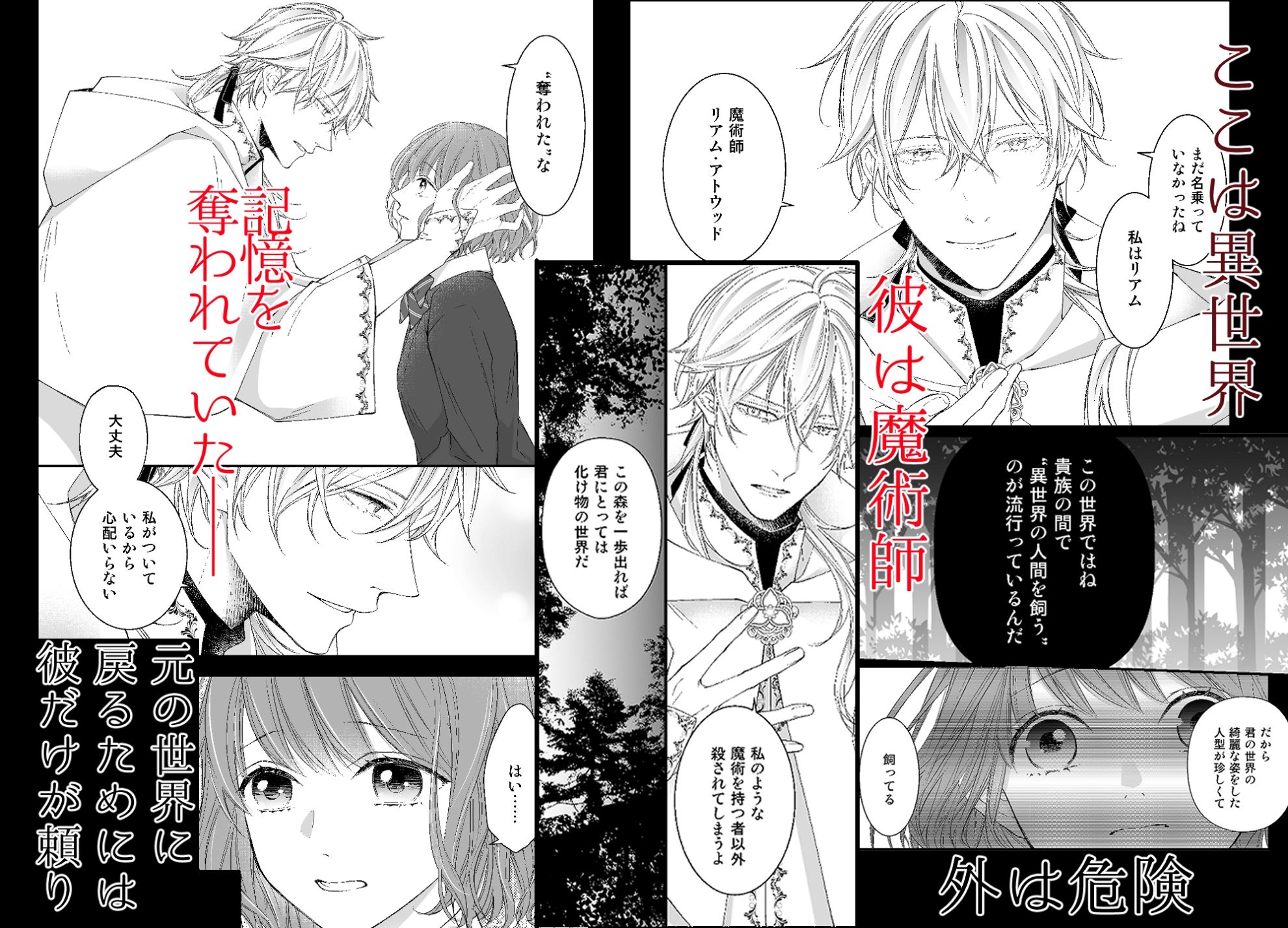 魔術師の鳥籠-フォレノワール- - サンプル画像 3
