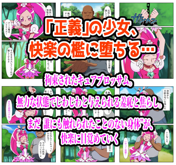 プリキュア同人 キュアブロッサム拘束×種付け調教 - サンプル画像 1