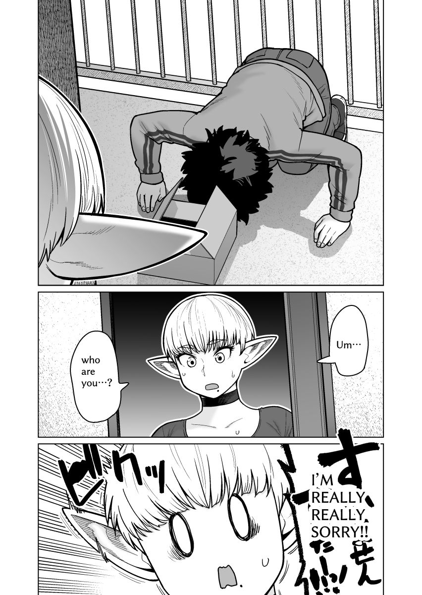 The Neighbor: Former Swordmaster Elf!! - サンプル画像 6